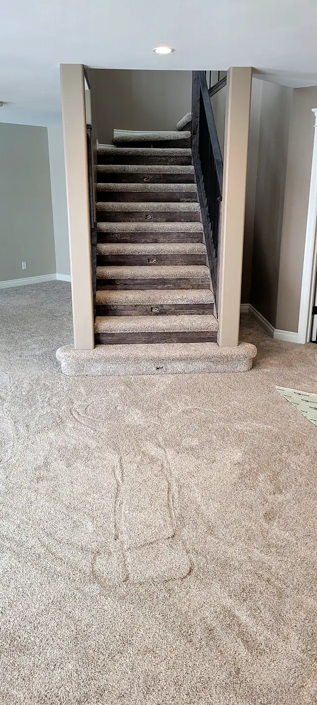Carpeted basement with a staircase